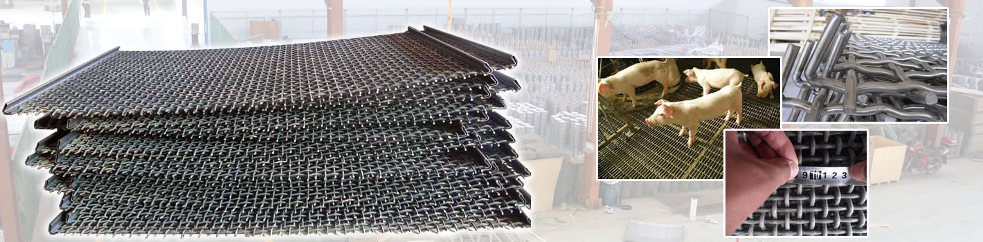 Crimped Wire Mesh